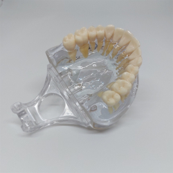 Transparent Kbemodel med Tnder 